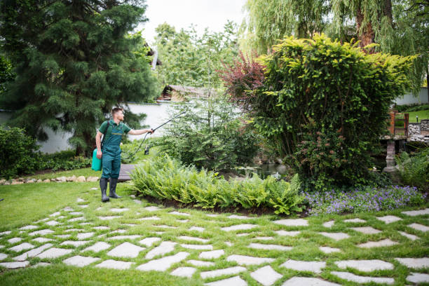 Best Wasp Removal Services  in West Sayville, NY