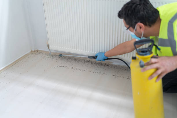 Best Best Pest Control Companies  in West Sayville, NY
